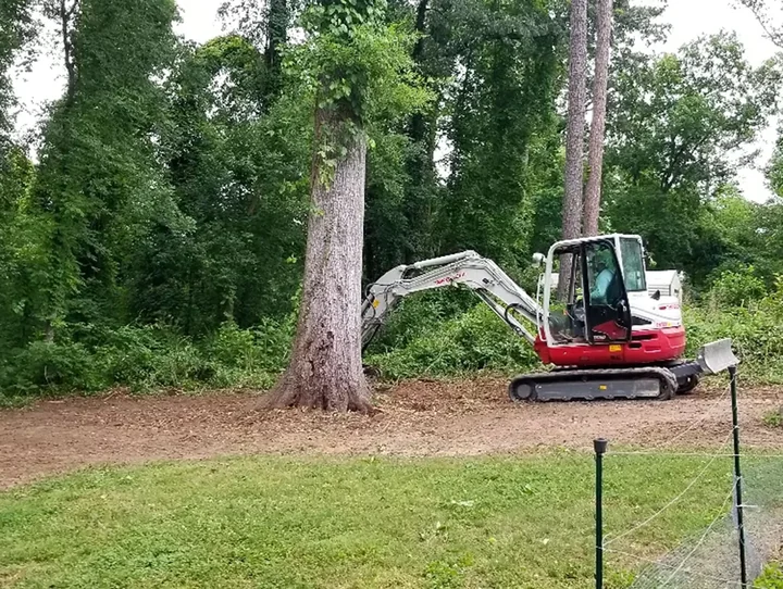 After brush clearing — open yard with clean sight lines