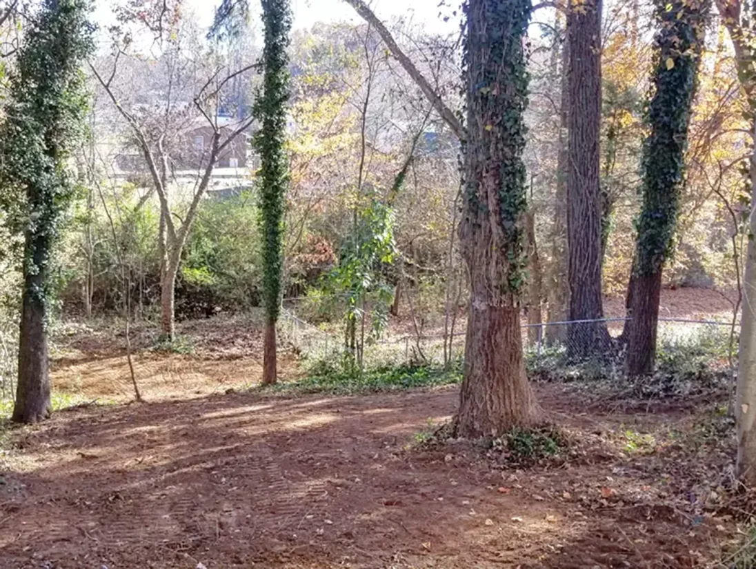 After brush removal — clean fence line and yard