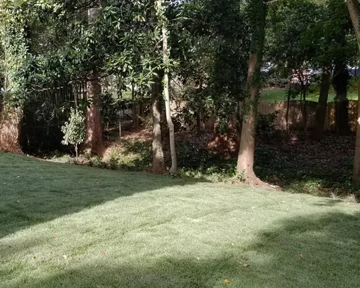 After cleanup — fully cleared backyard