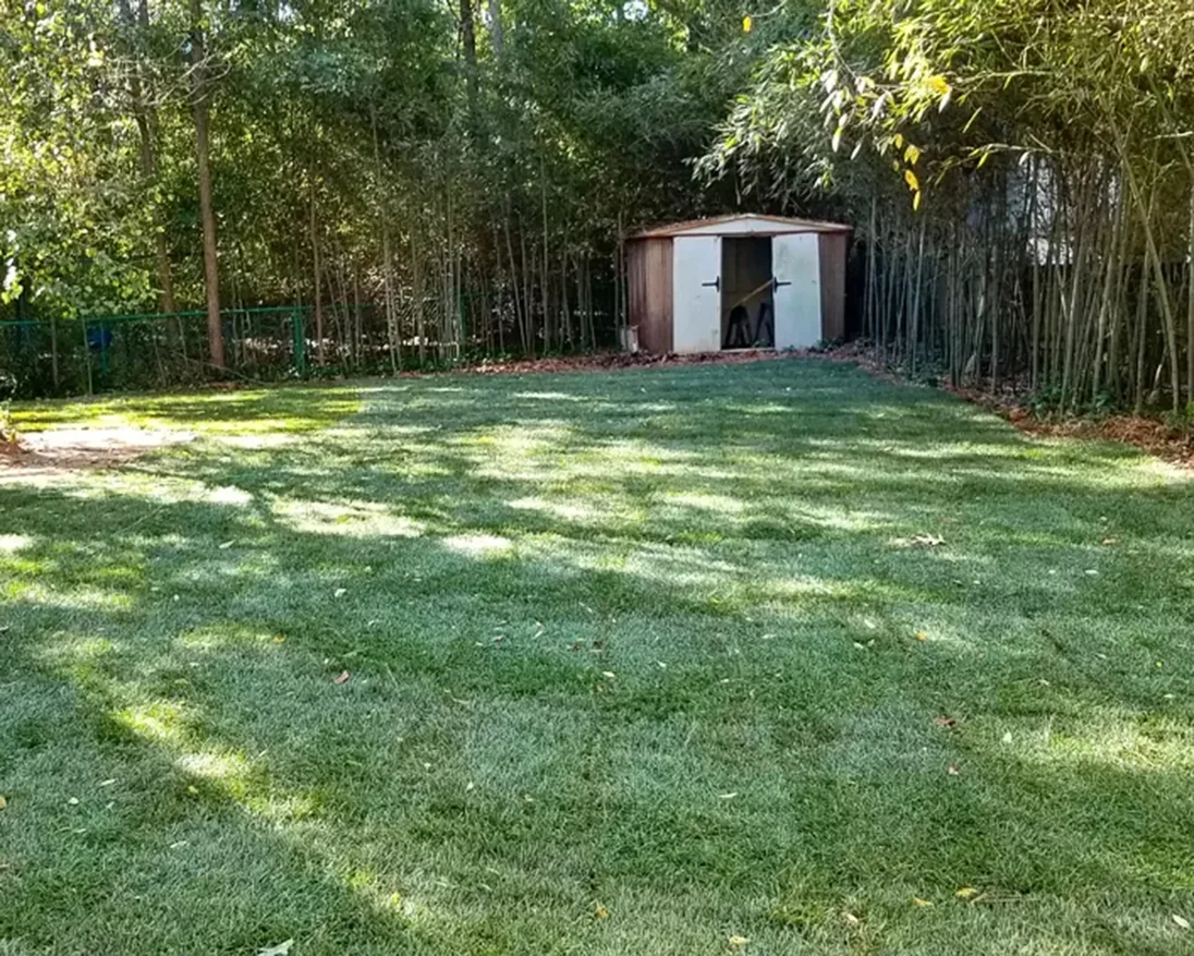 After backyard cleanup — clean, usable outdoor space