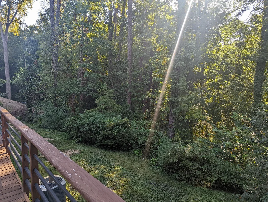 Yard before sod installation